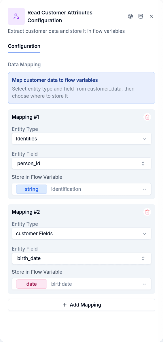 Read Borrower configuration