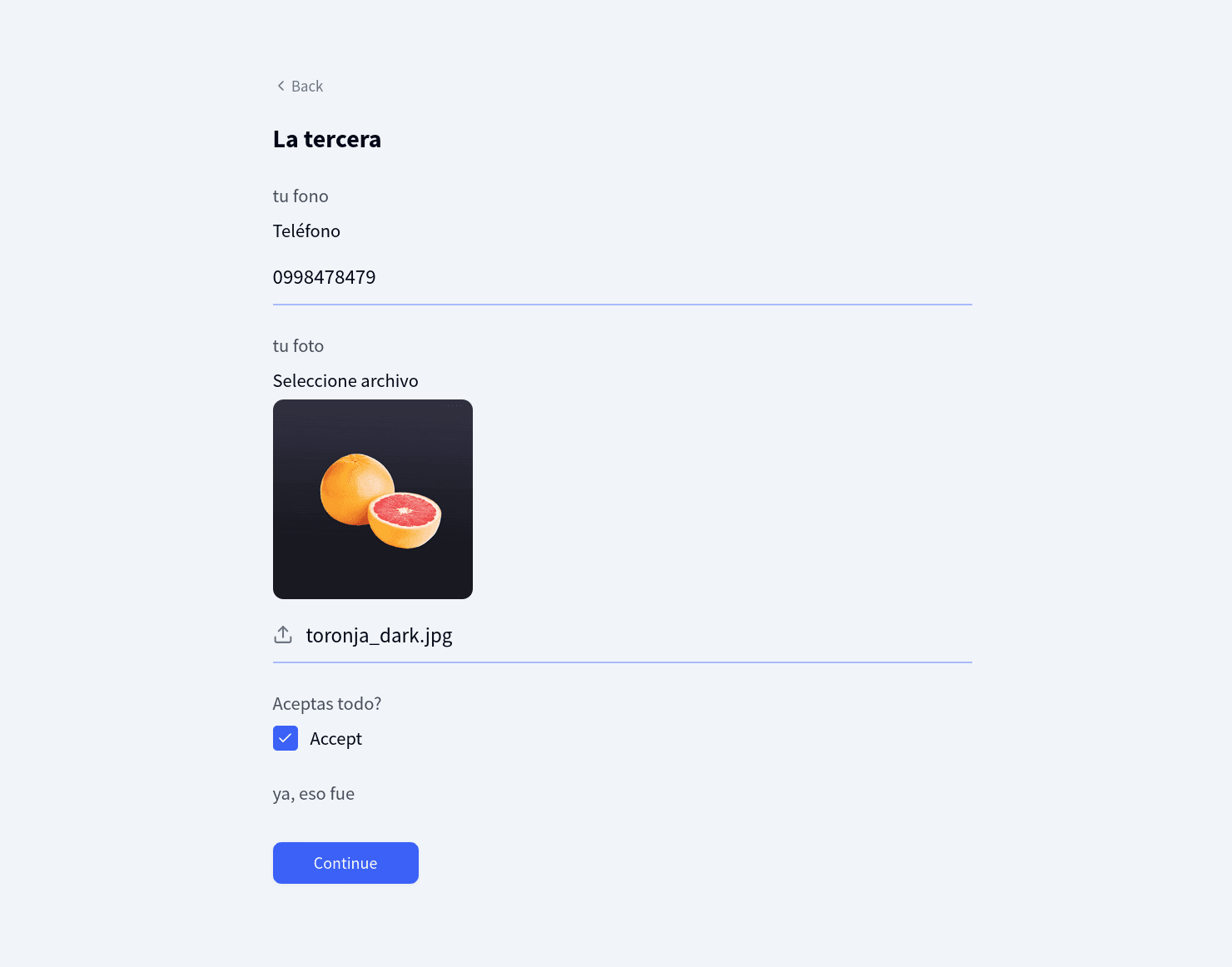 Wizard mode showing a centered step card, progress bar at the top, and branding sidebar on the left